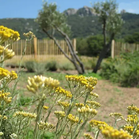 Clos Simoni * Figari (Corsica)