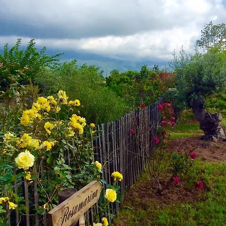 Clos Simoni * Figari (Corsica)