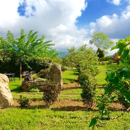 Clos Simoni Figari (Corsica)