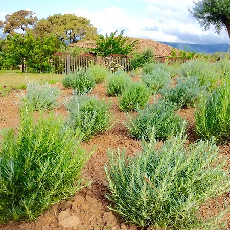 Landhuis Clos Simoni *