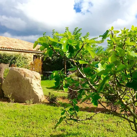 Clos Simoni Figari (Corsica)