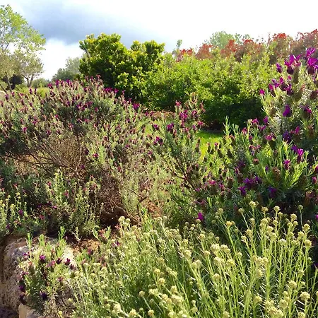 Clos Simoni Landhuis *