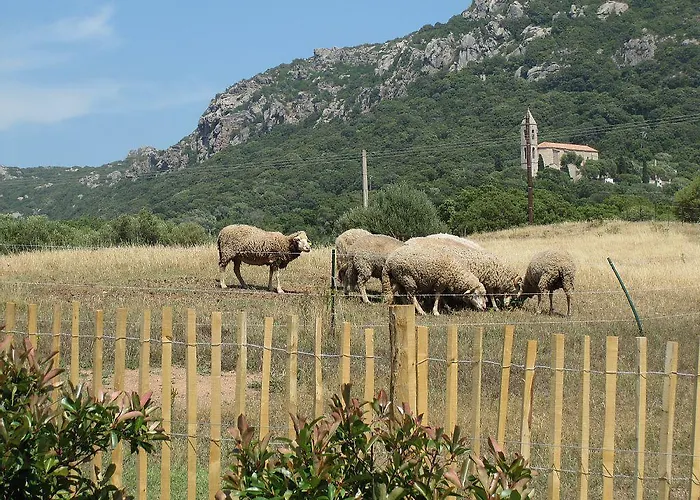 Clos Simoni