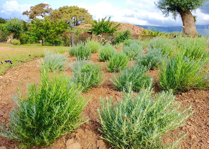 Landhuis Clos Simoni *