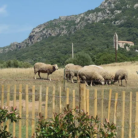 Clos Simoni