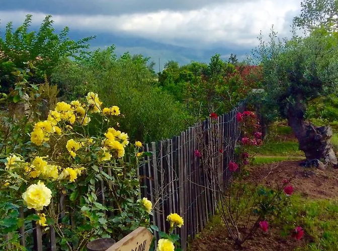 Clos Simoni * Figari (Corsica)