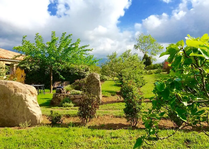 Clos Simoni Figari (Corsica)