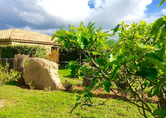 Clos Simoni Figari (Corsica)