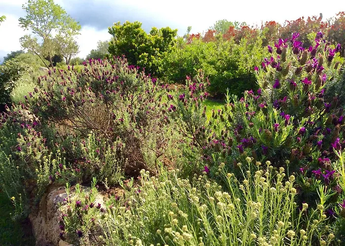 Clos Simoni Landsted *